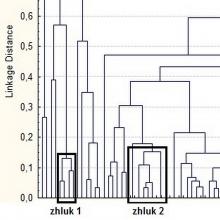 Dendrogram